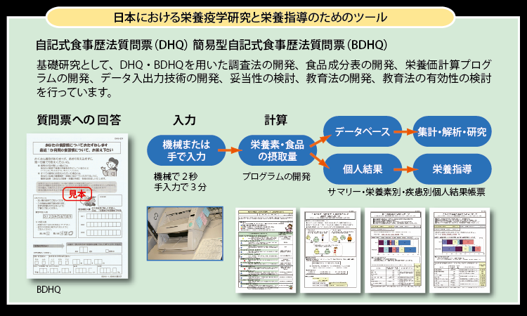 日本における栄養疫学研究と栄養指導のためのツール